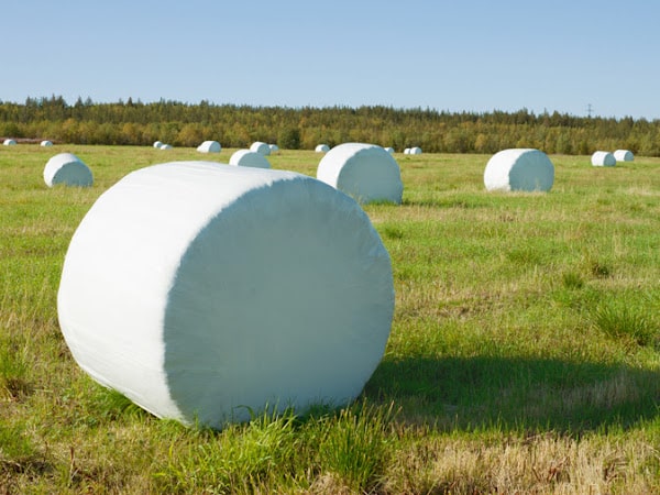 Ikon for Rundballpressing